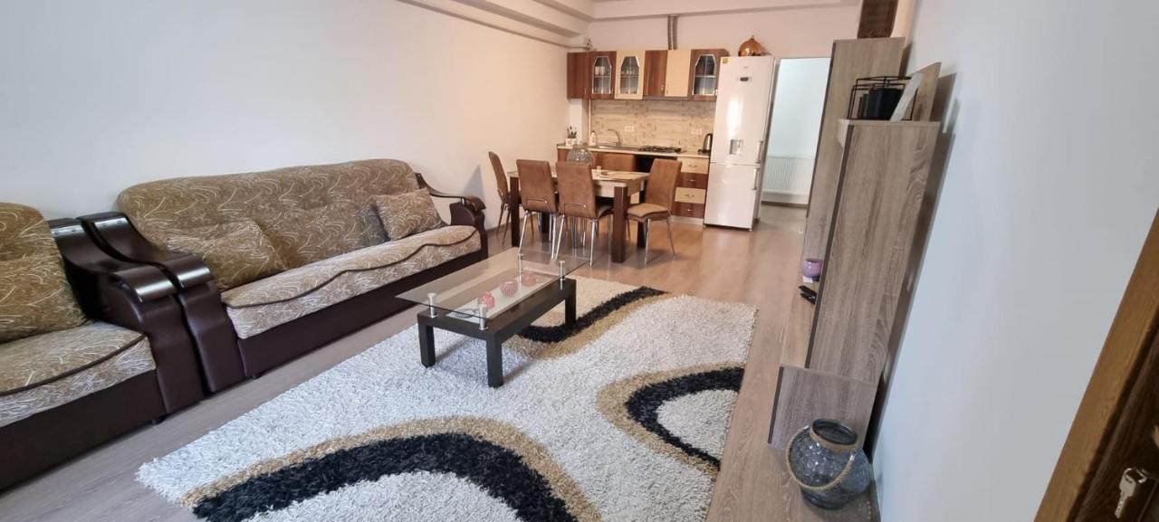 Jolie Art Apartment Braila Ngoại thất bức ảnh