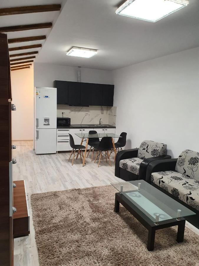 Jolie Art Apartment Braila Ngoại thất bức ảnh